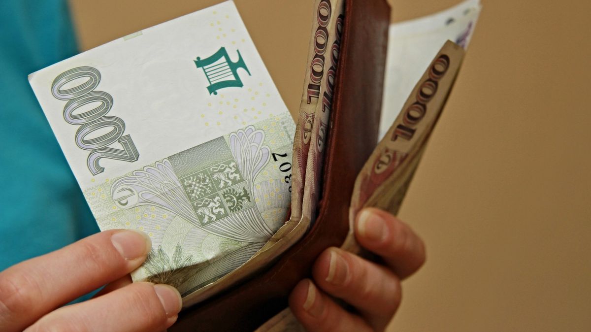 Dluhy včas nesplácí 350 tisíc lidí, jejich částka se vyšplhala na 36 miliard korun